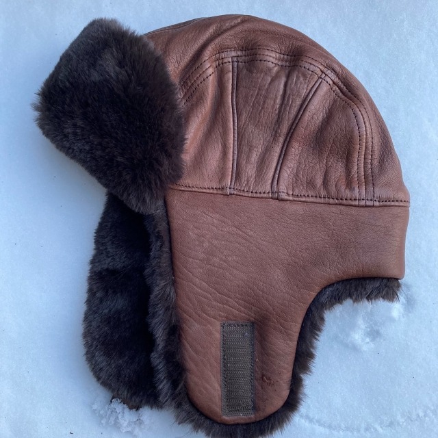 stetson bomber bruin